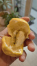 海南百香果廣西百香果 變黃變皺皮更甜 泡水喝 生吃 調(diào)味新鮮水果 10個 曬單實拍圖