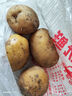 牛愛鮮 黃心土豆新鮮洋芋馬鈴薯黃皮應(yīng)季蔬菜整箱優(yōu)質(zhì)土豆現(xiàn)摘美味蔬菜 凈重5斤分享裝【現(xiàn)挖現(xiàn)發(fā)】 農(nóng)家現(xiàn)挖蔬菜 曬單實(shí)拍圖