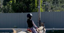 迪卡儂（DECATHLON）馬術(shù)頭盔成人兒童騎馬帽馬術(shù)裝備馬術(shù)盔安全騎行頭盔FOU 黑色 （頭圍52-54cm, S碼） 曬單實拍圖