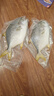 翔泰海南深海金鯧魚(yú)700g 2條 燒烤 火鍋 生鮮魚(yú)類(lèi) BAP認證 海鮮水產(chǎn) 曬單實(shí)拍圖