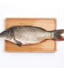  鮮活大鯉魚1-1.25kg/條 曬單實(shí)拍圖