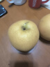 愛(ài)鮮摘農場(chǎng) 山東萊陽(yáng)秋月梨【閃送-多地隔日達】豐水梨子水果禮盒中秋送禮 12A級｜單果500g+【甜爆了】 精選果丨9斤裝【蕞劃算】?jì)?.5 曬單實(shí)拍圖
