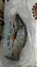 龍王恨魚(yú)餌無(wú)畏江湖一窩端菜籽餅窩料江河湖庫野釣鯽鯉草青鳊魚(yú)打窩底料 曬單實(shí)拍圖