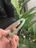 伊夢(mèng)嬌非洲翠手串女東海水晶瑪瑙玉髓玉石散珠子冰種飄花翡翠藥片手鏈 藥片珠手鏈-珠徑約3*6mm 曬單實(shí)拍圖