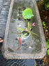 荷府家居 家居戶(hù)外庭院長(cháng)方形人造石槽養魚(yú)缸 室外流水造景裝飾仿古老舊大魚(yú)池 標準款-配苦楝木架 曬單實(shí)拍圖