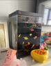 米家智能桌面魚(yú)缸小米生態(tài)魚(yú)缸小型智能專(zhuān)業(yè)背濾一體缸自循環(huán) 曬單實(shí)拍圖
