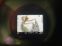 佳能（Canon） EF-EOS R轉(zhuǎn)接環(huán) RF卡口適配器（R系列機身轉(zhuǎn)接EF鏡頭）佳能原裝轉(zhuǎn)接環(huán) RF卡口適配器 禮包版 曬單實拍圖