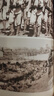 【官方正版】 蔣廷黻中國近代史(1840-1925插圖增強版)未刪減 近代史 近代中國史 歷史學(xué)家講述近代中國通史關(guān)于近代史的歷史類(lèi)書(shū)籍 中國近代史【蔣廷黻】未刪節本 曬單實(shí)拍圖
