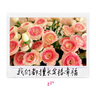麥桶桶（Mr.Bin）雨傘架家用門(mén)口入戶(hù)門(mén)手提式創(chuàng  )意放雨傘架瀝水長(cháng)柄雨傘桶 大號 #可裝傘/可醒花/可收納 曬單實(shí)拍圖