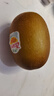 佳沛（zespri）新西蘭陽光金奇異果 8個裝 特大果單果重約122-146g 水果獼猴桃 曬單實拍圖