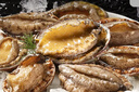 金唐鮮凍大鮑魚(yú)凈重500g/ 10頭鮑 帶殼鮑魚(yú)肉 貝類(lèi)海鮮生鮮火鍋燒食材 曬單實(shí)拍圖
