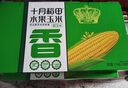 十月稻田 低GI水果甜玉米 3.52斤(220g*8根)  中秋禮盒 低脂早餐 零食即食 曬單實(shí)拍圖