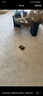 興連心地毯兒童房爬爬墊早教中心寶寶新款床邊免打理防水地墊 180×250cm 曬單實(shí)拍圖