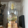 五糧液宜賓五糧液仙林生態(tài)酒業(yè)公司 52度高度酒 禮盒裝商務(wù)宴請送禮酒水 52度 500mL 2瓶 華彩人生 曬單實(shí)拍圖
