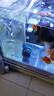 創(chuàng  )寧變頻潛水泵 CN-9500-13W 10檔流量調節 魚(yú)缸假山噴泉池循環(huán)抽水 曬單實(shí)拍圖
