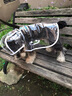 曇蓓漫狗狗雨衣中小型犬雨披柴犬柯基泰迪雨衣寵物用品可栓繩下雨天遛狗 【斗篷式狗狗雨衣-透明白邊】 2XL 丨建議21-27斤 EVA材質(zhì)/健康防水/透氣舒適 曬單實拍圖