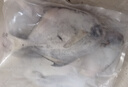 弘品匯 舟山銀鯧魚2.4斤/12條新鮮急凍白鯧魚平魚生鮮魚類海鮮源頭直發(fā)  曬單實(shí)拍圖