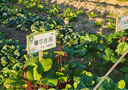 第一衛(wèi) DIVI【官 方 真 液 態(tài)】適用蘋果16手機(jī)殼真液態(tài)硅膠iPhone16保護(hù)套親膚鏡頭全包防摔男女款黑 曬單實(shí)拍圖