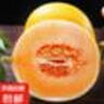 甘肅民勤沙漠蜜瓜新鮮采摘產(chǎn)地發(fā)貨 小果（單果≥500g）2斤凈重800g 曬單實(shí)拍圖