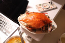 舟山梭子蟹鮮活特大野生大螃蟹新鮮冷凍海鮮水產(chǎn)海蟹飛蟹白蟹順豐 7-9兩/只【5斤凈重 特大肥壯】 曬單實(shí)拍圖