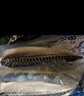 美加佳挪威青花魚(yú)片凈重2斤（8-10片）獨立包裝 去頭去尾去臟 中秋送禮 曬單實(shí)拍圖