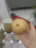 都樂(lè )Dole 秋月梨 產(chǎn)地直發(fā) 現摘現發(fā) 凈重1.6kg 4-6枚 簡(jiǎn)裝 曬單實(shí)拍圖
