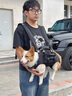 wakytu英國品牌雙肩橫背包中大型犬背狗神器寵物外出助行老犬患病大狗 L碼【適用17-27斤以?xún)取?曬單實(shí)拍圖