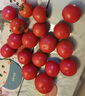 有機蔬菜西紅柿番茄5斤水果番茄5斤有機認(rèn)證無農(nóng)殘酸甜可口順豐 5斤 水果番茄（?。?曬單實拍圖