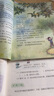 【新華書(shū)店正版】適用2025新版人教部編版小學(xué)五年級上冊語(yǔ)文數學(xué)英語(yǔ)書(shū)人教版全套3本課本語(yǔ)文書(shū)數學(xué)書(shū)5年級上冊教材課本教科書(shū)五上五年級上冊語(yǔ)數英課本全套書(shū)教 【套裝3本】人教版語(yǔ)文數學(xué)英語(yǔ)PEP 五年 曬單實(shí)拍圖