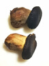 京鮮生云南特產(chǎn)鮮菌菇【新鮮黑牛肝】?jì)糁?斤 人工見(jiàn)手青炒菜 源頭直發(fā) 曬單實(shí)拍圖