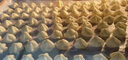 長(zhǎng)帝（changdi）【國(guó)家補(bǔ)貼】家用多功能電烤箱 32升大容量 上下管獨(dú)立控溫 廣域調(diào)溫 機(jī)械式旋鈕操控 白色 曬單實(shí)拍圖