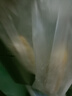 大希地 爆漿芝士熱狗棒 70g/根*3根 特色小吃 營(yíng)養(yǎng)早餐 早餐半成品 曬單實(shí)拍圖