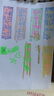 Kasimir卡西米爾雙頭疊色熒光筆彩色標(biāo)記劃重點(diǎn)不暈染軟頭記號筆高顏值手賬筆 春和景明-6支12色 曬單實(shí)拍圖