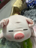 名創(chuàng  )優(yōu)品（MINISO）白熊柴犬小豬B-BO彈力超柔娃娃毛絨玩具玩偶抱枕生日禮物公仔 小豬B-BO（37*23cm) 見(jiàn)詳情圖 曬單實(shí)拍圖