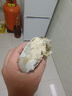 舟山梭子蟹鮮活特大野生大螃蟹新鮮冷凍海鮮水產(chǎn)海蟹飛蟹白蟹順豐 9兩以上/只【5斤凈重 超大肥美】 曬單實(shí)拍圖