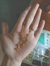 央創(chuàng  )時(shí)尚【中國黃金授權】銀項鏈女生延長(cháng)鏈簡(jiǎn)約生日禮物送女友閨蜜S925 曬單實(shí)拍圖
