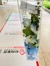 1號牧場(chǎng)內蒙古特產(chǎn)風(fēng)干牛肉500克 牛肉干牛肉塊組合裝健身零食散裝稱(chēng)重 原味500g組合裝 曬單實(shí)拍圖