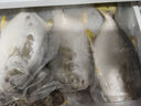 翔泰海南深海金鯧魚(yú)700g 2條 燒烤 火鍋 生鮮魚(yú)類(lèi) BAP認證 海鮮水產(chǎn) 曬單實(shí)拍圖