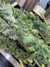 云南現摘新鮮羽衣甘藍榨汁組合裝減脂解暑健康小綠瓶蔬菜 羽衣甘藍2kg裝 曬單實(shí)拍圖