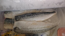 禧美海產 冷凍挪威青花魚片凈重2斤 獨立包裝2-4袋 去臟日料烤魚 海鮮 曬單實拍圖