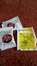 碗蓮種七彩五顏六色水培花卉水養(yǎng)四季蓮花荷花種蓮藕綠植水培蓮子 開口/混色 12粒+生根粉 曬單實拍圖