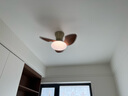 ShareDon風(fēng)扇燈 臥室房間中古風(fēng)餐廳一體2026新款智能吸頂式中山燈具大全 【青古銅+胡桃木】65cm-三色變光 曬單實(shí)拍圖