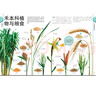 DK兒童圖解百科全書(shū)植物家族 精裝正版 植物世界大全 小學(xué)生科普書(shū)籍 6-12歲花草樹(shù)木圖鑒 自然觀(guān)察入門(mén) 曬單實(shí)拍圖