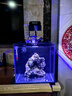 人民電器光學(xué)海水鹽度計水產(chǎn)鹽度測試儀高精度鹽濃度計手持式折光儀 曬單實拍圖