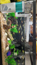 闊庭魚(yú)缸懶人魚(yú)缸家用客廳辦公室金魚(yú)缸過(guò)濾魚(yú)缸黑色款 曬單實(shí)拍圖