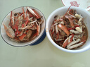 舟山梭子蟹鮮活特大野生大螃蟹新鮮冷凍海鮮水產(chǎn)海蟹飛蟹白蟹順豐 3-5兩/只【3斤 當(dāng)季船供】 曬單實(shí)拍圖