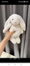 Jellycat害羞生日米色邦尼兔動(dòng)物毛絨玩偶安撫禮物娃娃生日新婚禮物 褐色 Medium 曬單實(shí)拍圖