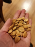 適用于小鵬G7導(dǎo)水槽保護(hù)罩進(jìn)風(fēng)口濾芯罩防蟲網(wǎng)中網(wǎng)改裝配件用品 小鵬G7【不銹鋼導(dǎo)水槽】銀鈦 3件套 曬單實(shí)拍圖