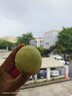 山東當季青州蜜桃新鮮脆甜可口毛桃冬桃產(chǎn)地直發(fā)-鮮集 青州蜜桃帶箱5斤 曬單實(shí)拍圖