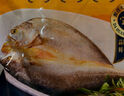 東方甄選黃魚(yú)鲞福建寧德三去大黃魚(yú)半成品冷凍魚(yú)生鮮海鮮黃魚(yú)黃花魚(yú) 【1袋裝】黃魚(yú)鲞（含5條） 1.3kg 曬單實(shí)拍圖